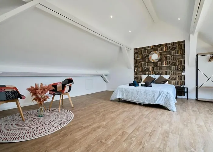 Herberg Le Grand Duplex Balneo 10 Minutes De La Gare Tourcoing